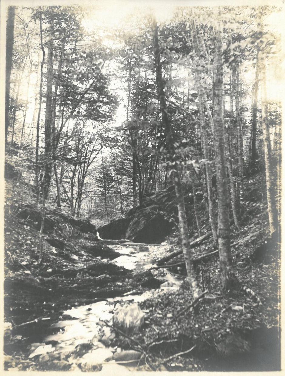 Lulu Cascade, 1898